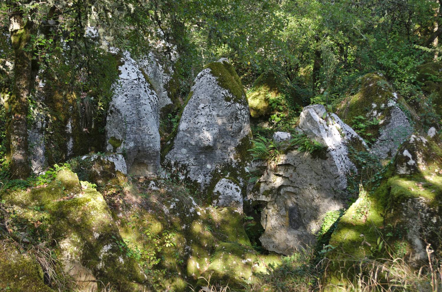 Phosphatières du Cloup d'Aural