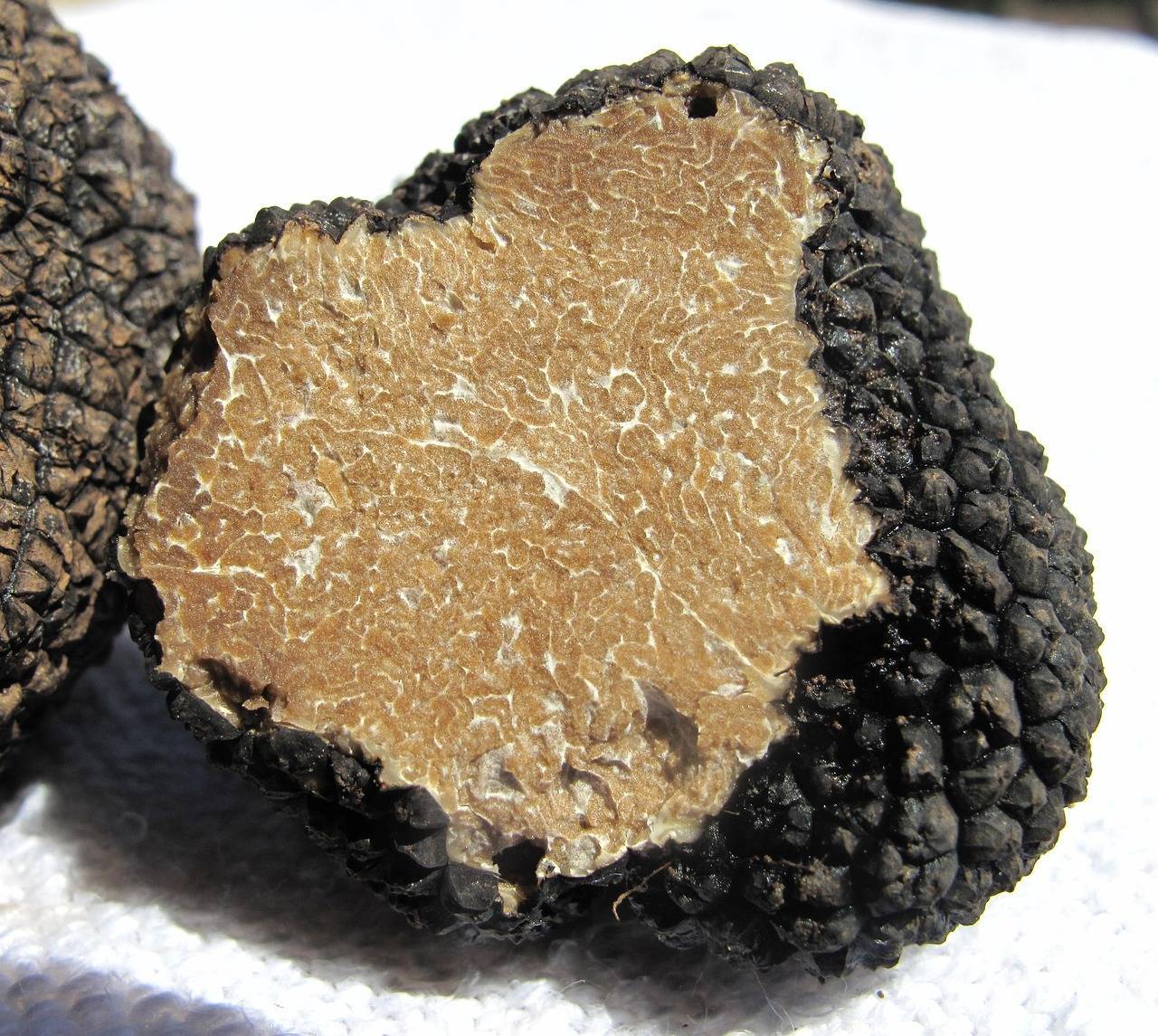 Truffe